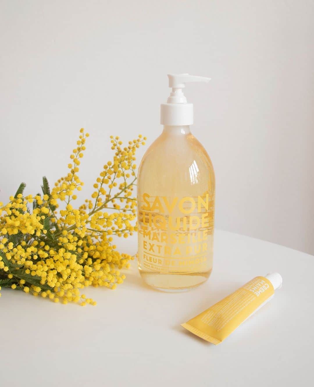 カンパニードプロバンスのインスタグラム：「Envie d'une escapade ensoleillée ? ☀️ On vous envoie quelques rayons de soleil depuis les mimosas en fleurs qui illuminent l'hiver en Provence… Cette senteur solaire et optimiste évoque le souvenir d’une balade en Provence. ⁠Fermez les yeux...vous y êtes !⁠ --⁠ Fancy a sunny getaway? ☀️ We send you a few rays of sun from the flowering mimosas that light up the winter in Provence ... This sunny and optimistic scent reminds us of a walk in Provence. Close your eyes... there you are! 💛」