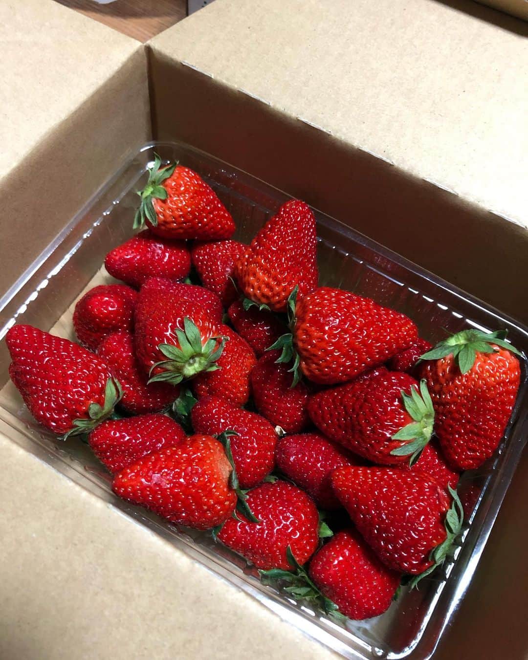 のインスタグラム：「栄養補給🍓　うま。でか。  がんばろ。」
