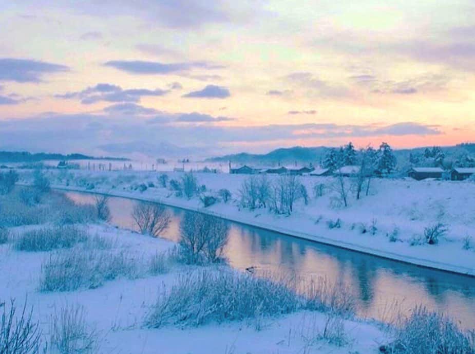 yukiさんのインスタグラム写真 - (yukiInstagram)「・ ・ ・ 今年の冬は綺麗な日が多い❄️ ・ ・ ・ ◉sty830 base shop◉ https://sty830.base.shop/ ・ ・ ・ #新潟　#雪　#雪景色」1月29日 19時57分 - sty830
