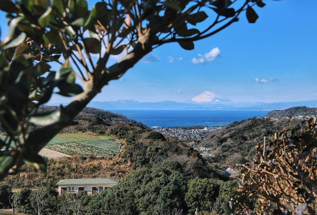 葉山町のインスタグラム：「- 青and空  #葉山歩き  #葉山 #hayama #湘南国際村 #グリーンパーク #ShonanVillage #japantrip #緊急事態宣言 中の #リモートトリップ #青空 はやっぱり気持ちいい！ #富士山 こんなに雪積もってるんだ #寒いので暖かくしてね #今日もおつかれさまでした #素敵な週末をお過ごしください」