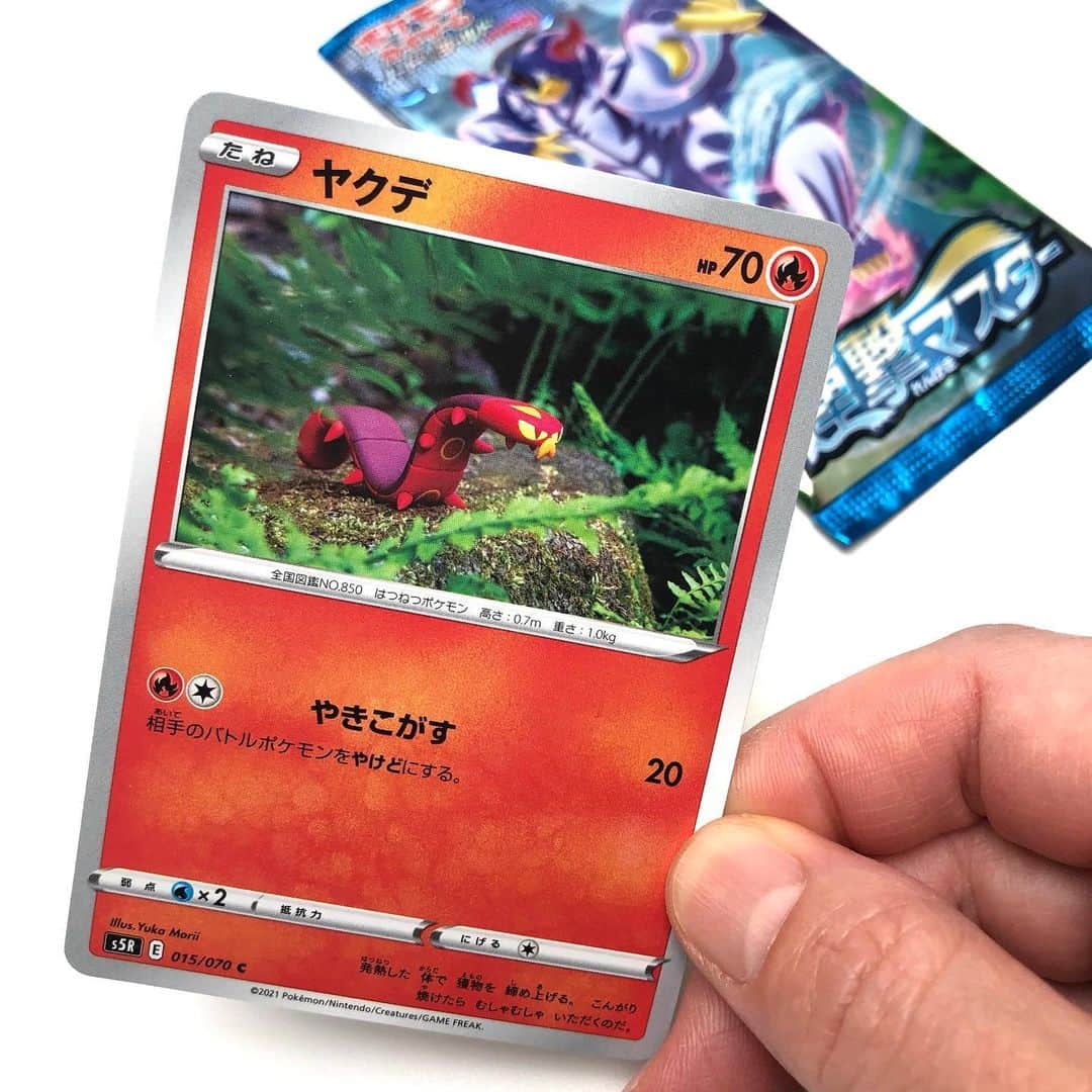 森井ユカさんのインスタグラム写真 - (森井ユカInstagram)「‪たねポケモンの『ヤクデ』を焼いて固める樹脂粘土で作りました。 ソード＆シールド拡張パック［連撃マスター］に入っている、カモよ⁈‬  ‪我的新寶可夢卡发售的！‬  ‪My new Pokémon cards has gone out! ‬  ‪#ポケモンカード #ポケカ #pokemoncards #pokemoncard‬」1月29日 20時33分 - yukamorii