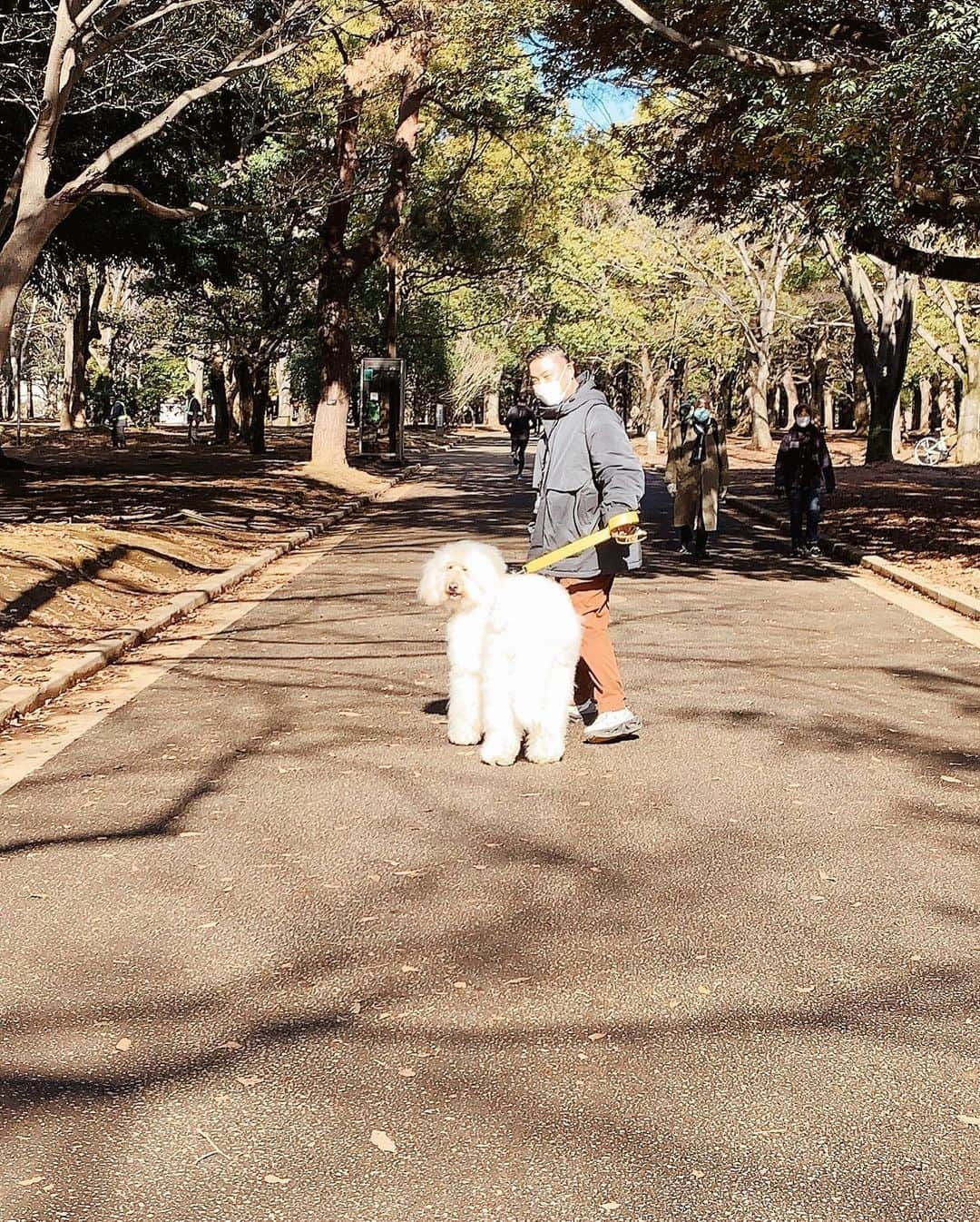 信沢Hitoshiさんのインスタグラム写真 - (信沢HitoshiInstagram)「4本足、最後の代々木公園。楽しいはずなのに、泣いちゃった！」1月29日 20時40分 - nobusawahitoshi