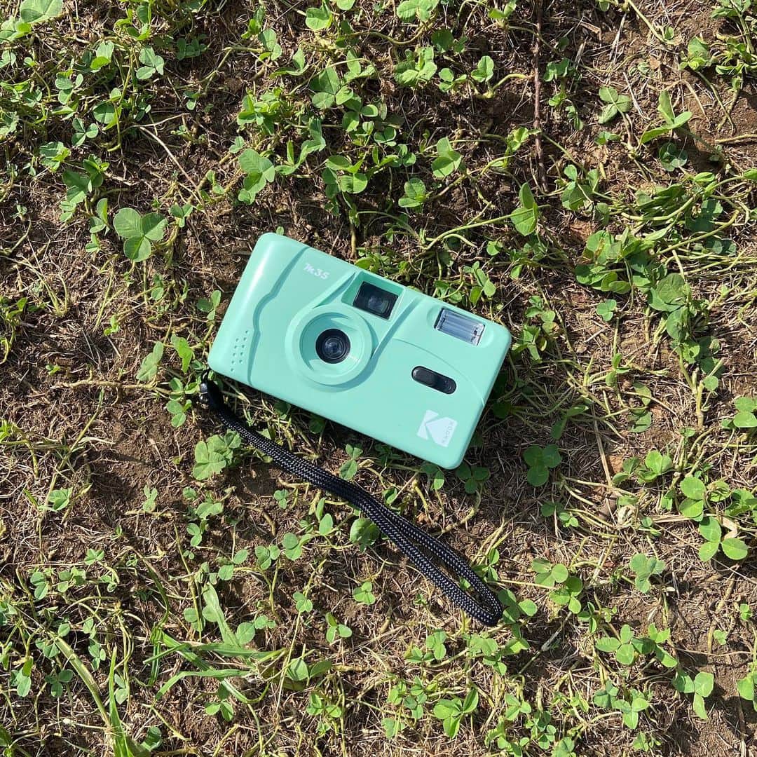 増井みおのインスタグラム：「こちらはミントグリーンのKODAKのフィルムカメラ。軽い 早く沢山旅行行ってパシャパシャ撮りたいのに🥺 使わせてよ〜 #KODAK #ミントグリーン #パステル #カメラ #撮っちゃうよ」
