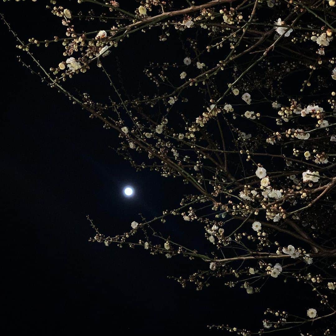 来夏のインスタグラム：「#🌕 The first fullmoon of 2021🐺 #wolfmoon  #fullmoon #2021 #january」