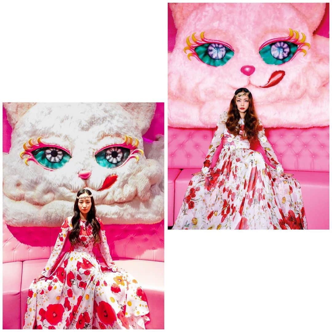 NOHANAのインスタグラム：「・ 今月いっぱいで閉店しまうと知って、念願のPINK CAT ROOMへ🐈💗 やっと猫様と安室ちゃんが座った場所を拝むことが出来て幸せ時間すぎた😭✨ 撮影協力してくれたマイメンまじありがとう🥺🙏💕 ・ #kawaiimonstercafe #カワイイモンスターカフェ #原宿 #harajuku #namieamuro #安室奈美恵 #安室ちゃん #アム活 #アムコス #アムラー #VOGUE #pinkcatroom #のはなみえ」