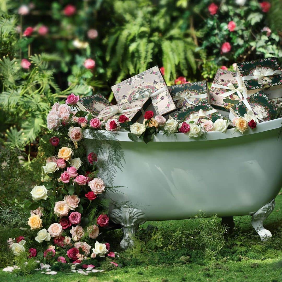 SABON Japanさんのインスタグラム写真 - (SABON JapanInstagram)「【2/18(Thu)数量限定登場🌹王妃の庭に咲き誇る3種のローズ"Rose Festival"】 魅惑的なローズの香りに誘われて、秘密の花園へひとときのエスケープをしたかのように様々なローズの香りに包まれるコレクション。 グリーン・ローズ、ローズティー、そして新しい限定の香りのホワイト・ローズのボディケアアイテムや限定キットが2月18日(木)より数量限定で登場します。  たどりついた秘密の花園でひっそりと楽しむバスタイムは、お気に入りのローズの香りで心から癒やされるひととき。 香りがもたらす静けさや永遠のロマンスを感じて。  【ジェイアール名古屋タカシマヤ POP UP SHOPがオープン】 2月10日(水)から2月19日(金)まで、ジェイアール名古屋タカシマヤ　3階特設会場に、Rose Festival POP UP SHOPがオープン。 2月18日(木)の全国発売に先駆けて、「ホワイト・ローズコレクション」を数量限定発売いたします。  ＜開催概要＞ ・期間：2021年2月10日(水)～2月19日(金) ・場所：ジェイアール名古屋タカシマヤ3階　特設会場 ・営業時間：10：00～20：00　※ジェイアール名古屋タカシマヤの営業時間に準ずる ※都合により変更または中止となる場合がございます。 ※コレクション製品、ギフトは数に限りがございますので予めご了承ください。  ●特典つき事前予約キット 「ロイヤルキット　ホワイト・ローズ」と「トリアノンキット ホワイト・ローズ」は、SABON ジェイアール名古屋タカシマヤ店店頭にて、事前予約を承っております。 ※詳しくは店頭へお問い合わせください。  ロイヤルキット　ホワイト・ローズ　¥22,000(税込)《40点限定》 限定コレクション「ホワイト・ローズ」の贅沢なフルラインキット。限定デザインのボックス入り。 ＜キット内容＞ シャワーオイル 300mL / ボディスクラブ S 320g / シルキーボディミルク 200mL / ハンドクリーム 30mL / アロマ 250mL / オー ドゥ サボン 80mL / バスボール / ギフトボックス  ご予約いただいた方には特典として、「シルキーボディミルク グリーン・ローズ」(30mL)をもれなくプレゼントいたします。  ●ご体験ギフト 期間中、POP UP SHOP会場のウォータースタンドにて製品をご体験いただいた方に、SABON人気アイテムのサンプルサイズを差し上げます。 是非会場にてご体験ください。 ※体験は無料です。サンプルはジェイアール名古屋タカシマヤ店にてお渡しいたします。 ※価格はすべて税込です。 ※数量限定につき、なくなり次第終了となります。  #SABONRoseFestival ﻿ #sabon#ホワイトローズ#ホワイトローズの香り#SABONのホワイトローズ#bodycare#whiterose#spring#サボン#フレグランス#SABONボディスクラブ#秘密の花園#香り#美容#春コスメ#コスメ#春#SABONの香り#サボンの香り#ボディケア#透明感#しっとり肌#SABONのスクラブ#ボディスクラブ#香り#サボンのホワイトティー#フレグランス#SABONの香り#サボンの香り#ローズフェスティバル」1月29日 21時29分 - sabon_japan