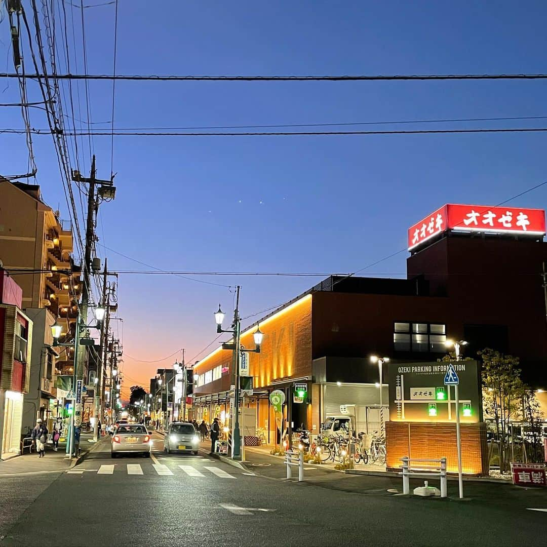 しまおまほのインスタグラム：「げに美しきオオゼキ松原店」