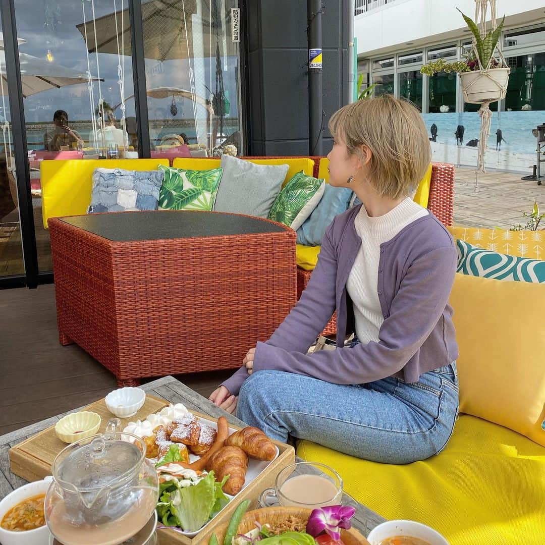 くっきーのグルメインスタ