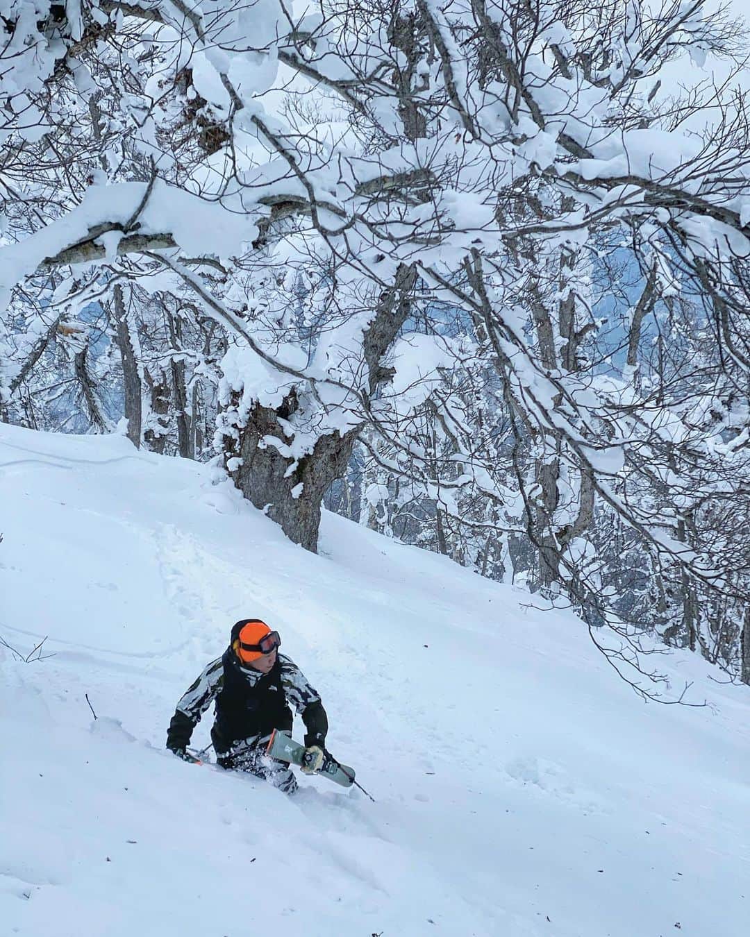佐々木明さんのインスタグラム写真 - (佐々木明Instagram)「【In】 森の中の活動も ゲレンデの上での活動も 本当に小中学生の時に当たり前に見て感じていた無傷の雪が本当にこんなに有難いモノコトであると再確認する時が来るとは思ってもみなかったすね。 逆にどんだけ滑っても余しちゃって罪悪感さえ覚える。 なんで残してしまったんだ！まだ残ってる！的な。  わかる？  📸 @iyamakeisuke  📍 @ Hokkaido」1月29日 22時47分 - akiraexploring