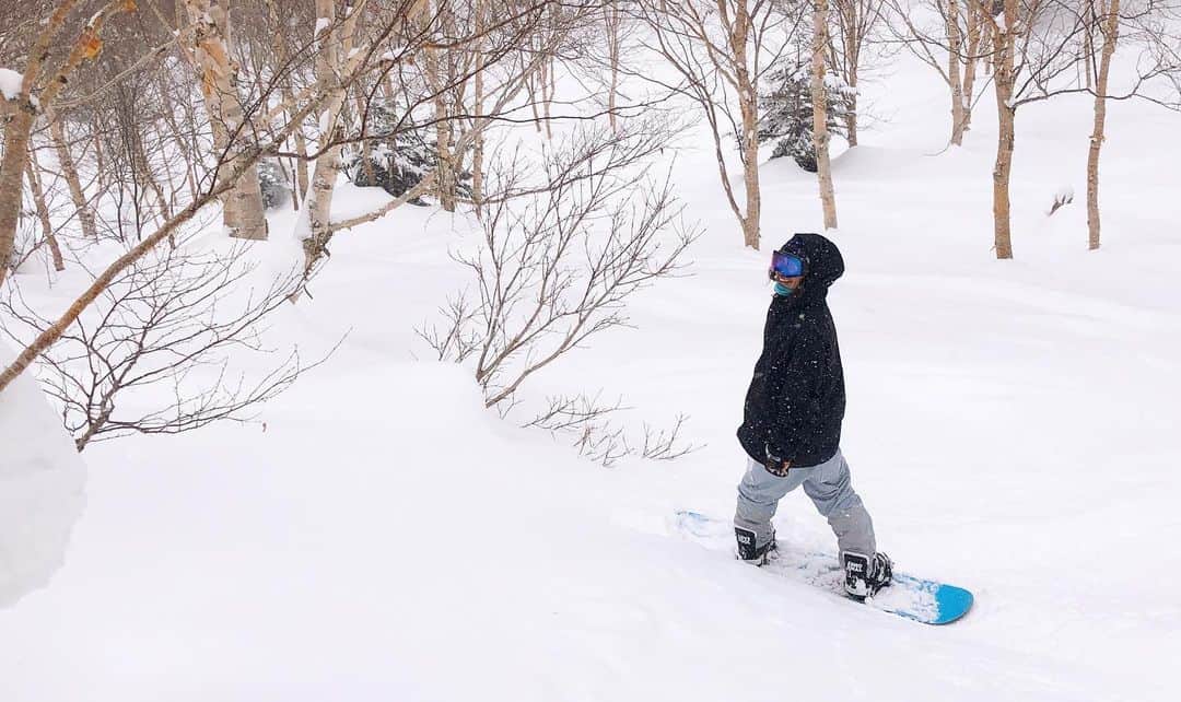 hoshinofumikaさんのインスタグラム写真 - (hoshinofumikaInstagram)「New🎬link my bio✔️ 今シーズン初の奥志賀高原スキー場いってきました💙 動画はYouTubeにアップしたので  @fumika_hoshino のプロフィールリンクから観てね🌼❄️ 気温低くて雪軽くて楽しかったー！ 軽過ぎて底付きして難しかった〜🤣 パークは流石の楽しいセットアップ。 奥志賀高原のあの 【別世界感】が大好き💘 プロカメラマンの関さんと、 プロスノーボーダー金子のネコさんと１日楽しめました〜✌️📸 久しぶりの寒波！楽しもうねー✨💙 防寒しっかりね✌️ ホッカイロは肩甲骨の真ん中に！ 女の子は太ももの前にもね✌️ 明日は斑尾高原！💘 . . . ❄️💙 Thanks  @10kazuya10  @kanekoyasushi  @okushigakogen_resort  ❄️💙 #snowboarding #snowboard #snow #winter #japan #ootd #スノーボード #スノボ #スノボー #スノボ女子 #スノボ好きな人と繋がりたい #冬 #スキー場 #スキー #奥志賀高原 #プロカメラマン　#プロスノーボーダー #okushiga #powder #japow #奥志賀高原スキー場」1月29日 22時57分 - fumika_hoshino