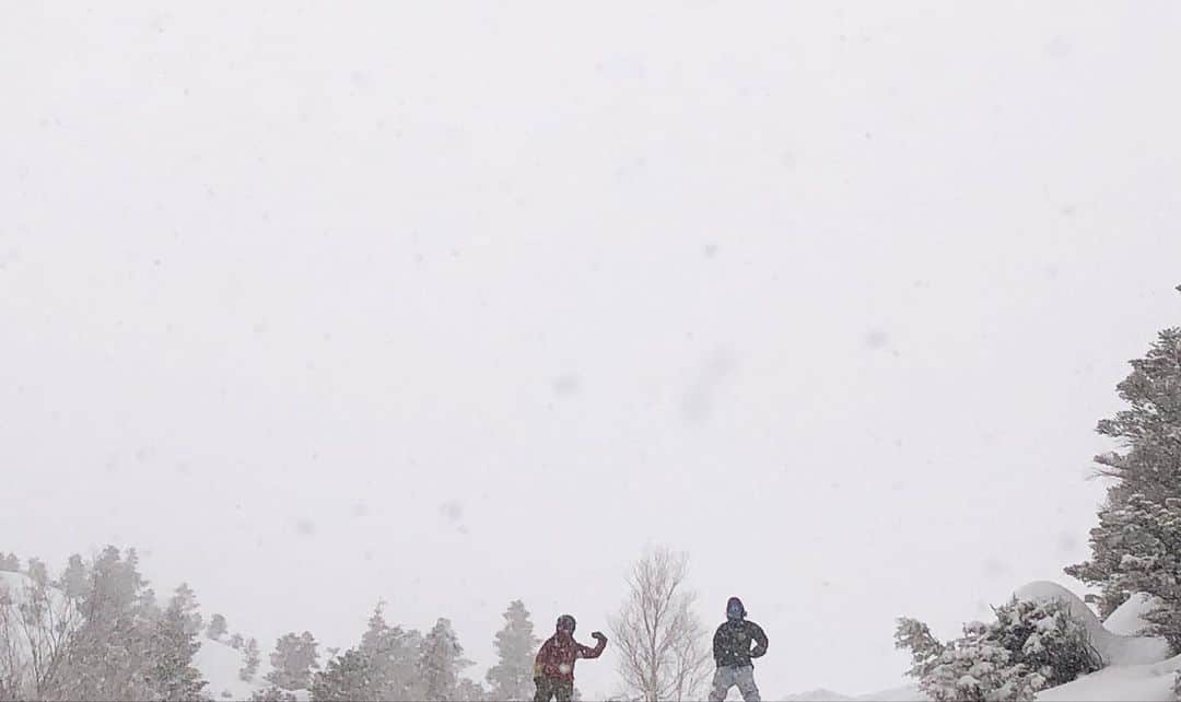 hoshinofumikaさんのインスタグラム写真 - (hoshinofumikaInstagram)「New🎬link my bio✔️ 今シーズン初の奥志賀高原スキー場いってきました💙 動画はYouTubeにアップしたので  @fumika_hoshino のプロフィールリンクから観てね🌼❄️ 気温低くて雪軽くて楽しかったー！ 軽過ぎて底付きして難しかった〜🤣 パークは流石の楽しいセットアップ。 奥志賀高原のあの 【別世界感】が大好き💘 プロカメラマンの関さんと、 プロスノーボーダー金子のネコさんと１日楽しめました〜✌️📸 久しぶりの寒波！楽しもうねー✨💙 防寒しっかりね✌️ ホッカイロは肩甲骨の真ん中に！ 女の子は太ももの前にもね✌️ 明日は斑尾高原！💘 . . . ❄️💙 Thanks  @10kazuya10  @kanekoyasushi  @okushigakogen_resort  ❄️💙 #snowboarding #snowboard #snow #winter #japan #ootd #スノーボード #スノボ #スノボー #スノボ女子 #スノボ好きな人と繋がりたい #冬 #スキー場 #スキー #奥志賀高原 #プロカメラマン　#プロスノーボーダー #okushiga #powder #japow #奥志賀高原スキー場」1月29日 22時57分 - fumika_hoshino