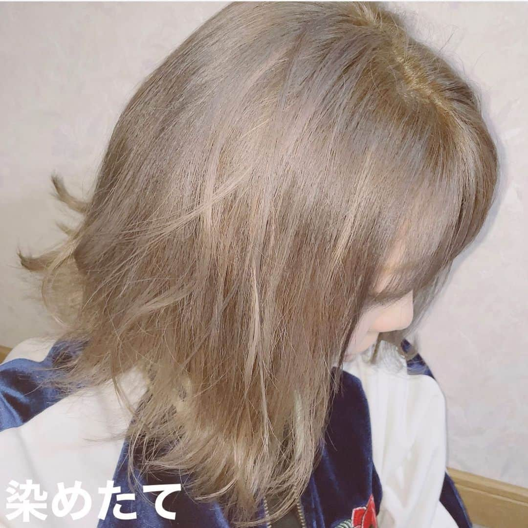 あやつるぽんさんのインスタグラム写真 - (あやつるぽんInstagram)「... ヘアカラーオーダーについて . . . カラーをオーダーする時に 伝えてる事 . 全頭ブリーチ 傷むので極力避けた方がいいですが 私はハイトーン好きなので 毎回抜いてます 暗くもできるし明るくもできるから . ブリーチで抜かなくても今の染粉は全然綺麗にカラーできると思います . . 濃いめに入れてください これは、上記で述べたように ベースがブリーチで抜いて ハイトーンだからこそ 濃いめに入れて暗くなっても 後々抜けていい色なるからそうしてます . . 今回はミルクティーアッシュにしました 濃いめに入れたら最初は少しグリーンっぽくくすんでましたが いまめっちゃいい色！ . . そして毎回絶対トリートメント してます！ . おうちでのシャンプーも ちゃんと自分の毛質に合った シャンプー使うのをお勧めします！ . . カラーするときの参考になればと思います！ . . @harukanakagami  @hardi_kobe  @hardi_east  #haircolor #hairstyle #ヘアカラー　#ヘアカラーオーダー #アッシュベージュ #ミルクティーベージュ #ミルクティーアッシュ #ハイトーンカラー #ハイトーンボブ #ハイトーンロブ #ヘアカラー #ヘアカラー外国人風カラー #ヘアカラートレンド #ヘアカラーベージュ #神戸 #神戸美容室 #サロンモデル #カラー」1月29日 23時00分 - ayatsurupon