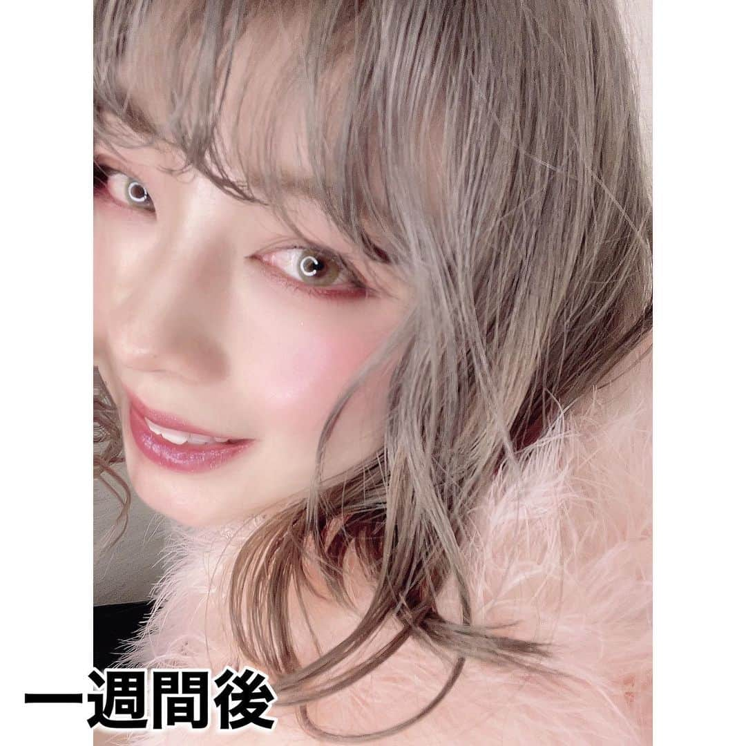 あやつるぽんさんのインスタグラム写真 - (あやつるぽんInstagram)「... ヘアカラーオーダーについて . . . カラーをオーダーする時に 伝えてる事 . 全頭ブリーチ 傷むので極力避けた方がいいですが 私はハイトーン好きなので 毎回抜いてます 暗くもできるし明るくもできるから . ブリーチで抜かなくても今の染粉は全然綺麗にカラーできると思います . . 濃いめに入れてください これは、上記で述べたように ベースがブリーチで抜いて ハイトーンだからこそ 濃いめに入れて暗くなっても 後々抜けていい色なるからそうしてます . . 今回はミルクティーアッシュにしました 濃いめに入れたら最初は少しグリーンっぽくくすんでましたが いまめっちゃいい色！ . . そして毎回絶対トリートメント してます！ . おうちでのシャンプーも ちゃんと自分の毛質に合った シャンプー使うのをお勧めします！ . . カラーするときの参考になればと思います！ . . @harukanakagami  @hardi_kobe  @hardi_east  #haircolor #hairstyle #ヘアカラー　#ヘアカラーオーダー #アッシュベージュ #ミルクティーベージュ #ミルクティーアッシュ #ハイトーンカラー #ハイトーンボブ #ハイトーンロブ #ヘアカラー #ヘアカラー外国人風カラー #ヘアカラートレンド #ヘアカラーベージュ #神戸 #神戸美容室 #サロンモデル #カラー」1月29日 23時00分 - ayatsurupon