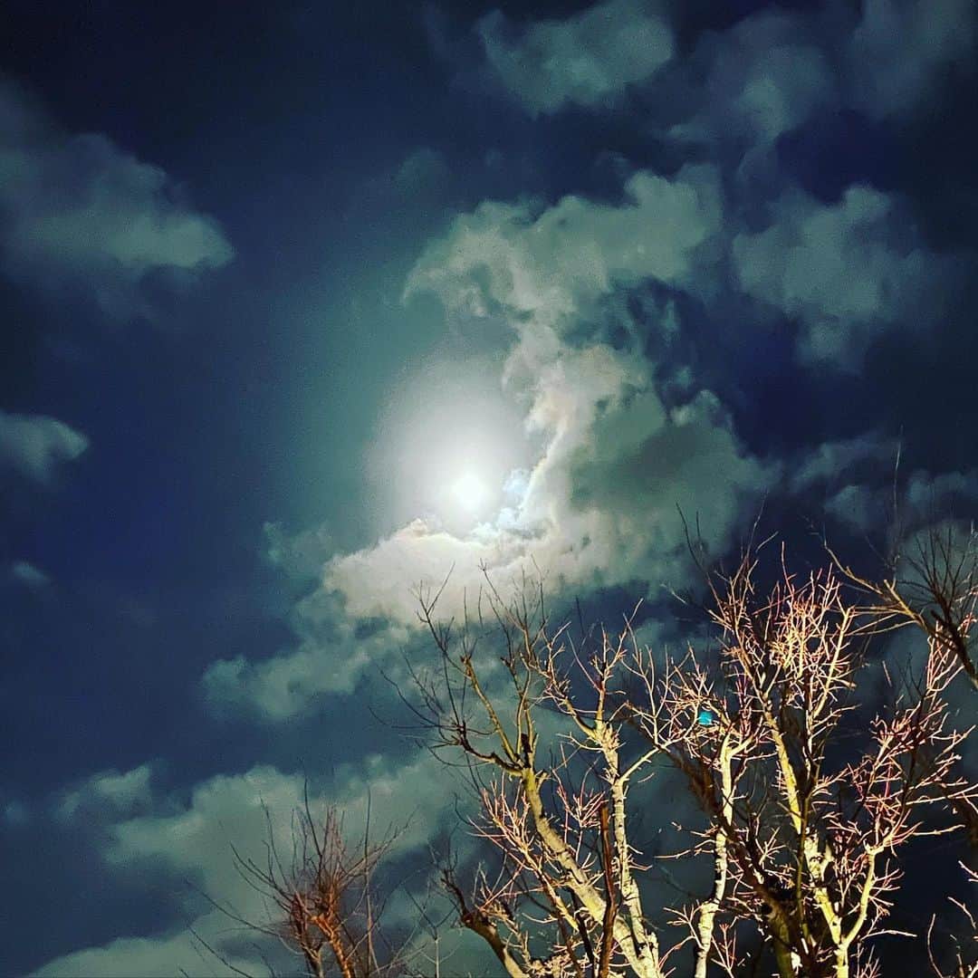 西川忠志さんのインスタグラム写真 - (西川忠志Instagram)「#満月   1月の満月は #ウルフムーン とも言うそうですね。  そして寒いですね！ でもその分、空は澄んで良く見えます。  そして、ふんわり名人を食べていたので お月様に翳してみました。 何をしてるのやら😅 ふんわり名人美味しいですよね😋  また連日、なんばグランド花月へ ご来場頂いておりますお客様 本当にありがとうございます🙇‍♂️  #吉本新喜劇  #西川忠志  #感謝」1月29日 23時06分 - nishikawa_tada
