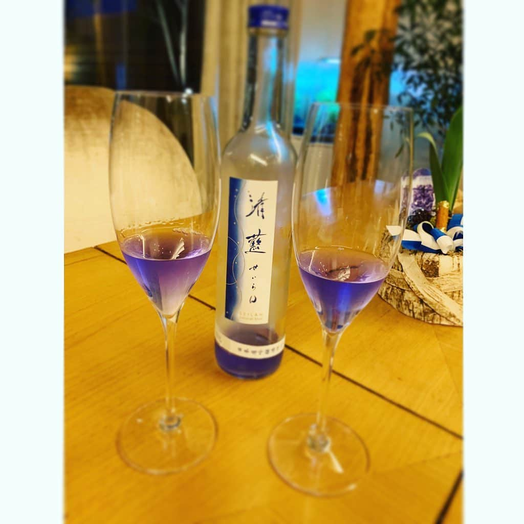 七瀬遥さんのインスタグラム写真 - (七瀬遥Instagram)「なんて美しい🍶💜✨ 紫色の日本酒✨ 今日も、たくさんお祝いしてもらって、とっても幸せです🥺💖🌈 みんな優しくて愛に溢れてる❤️❤️❤️ ありがとう〜〜〜😘  #紫色#日本酒#愛#感謝#ありがとう#幸せ#happy birthday#fun#good#friend#happy#love#happiness#good#smile#tokyo#japan」1月29日 23時11分 - haruka_mh