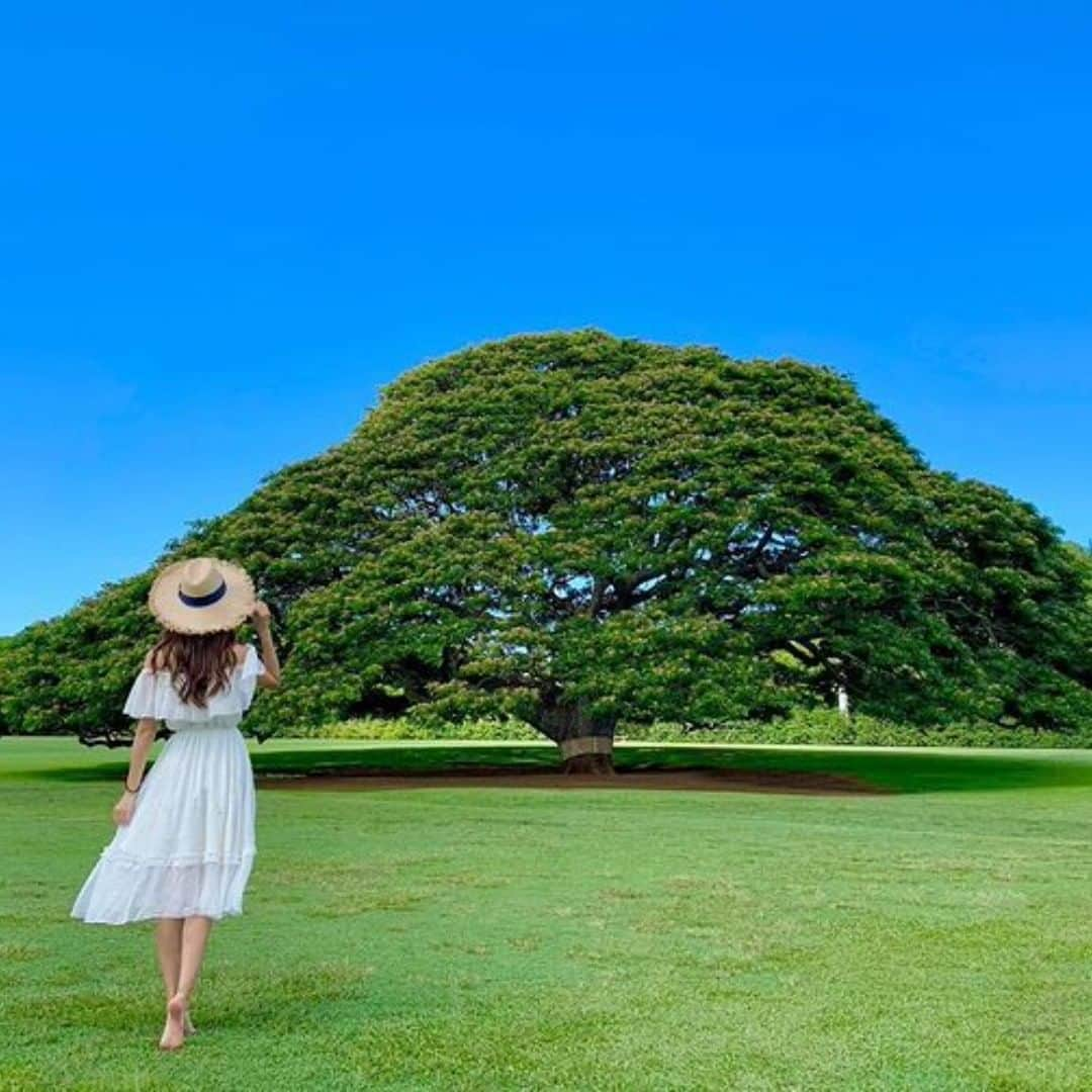 美波千夏のインスタグラム