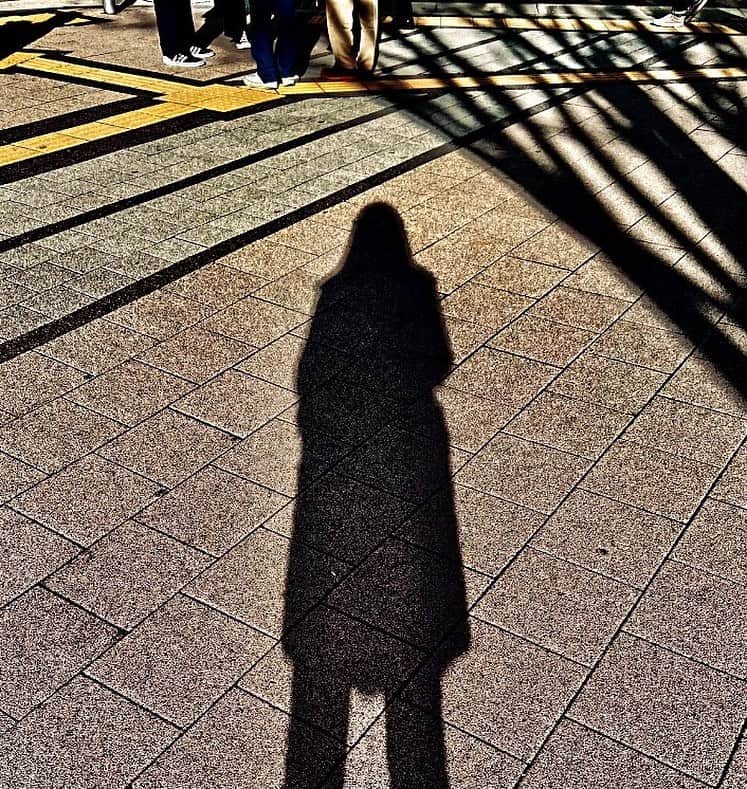 宮村ななこさんのインスタグラム写真 - (宮村ななこInstagram)「#photography #photo #shadow #tokyo」1月29日 23時44分 - miyamuchan_001