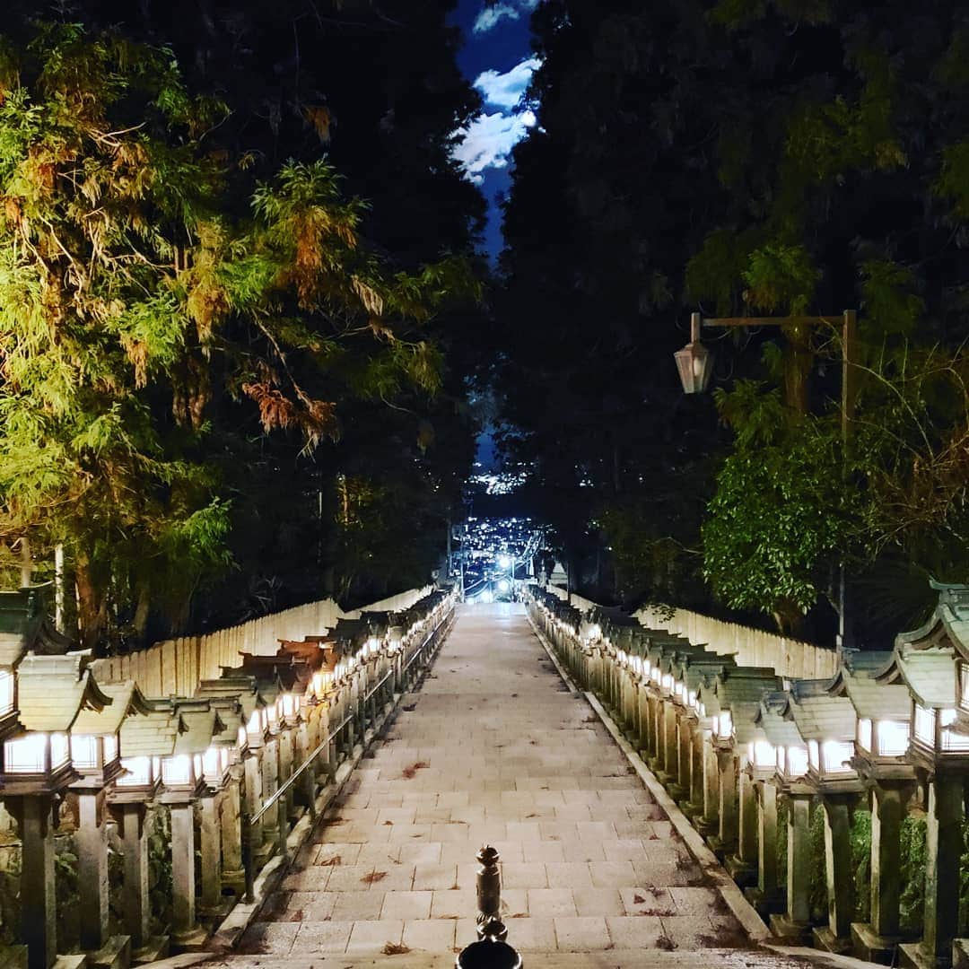 古川高晴さんのインスタグラム写真 - (古川高晴Instagram)「練習の帰りに練習場の近くの宝山寺に寄ってお参りしてきました。 夜の宝山寺もキレイで良かったです。 奈良市街の夜景もキレイでした。 明日も練習頑張れそうです。  #宝山寺 #練習帰り #夜景が綺麗 #明日も頑張ろう」1月30日 0時02分 - takaharu._.furukawa