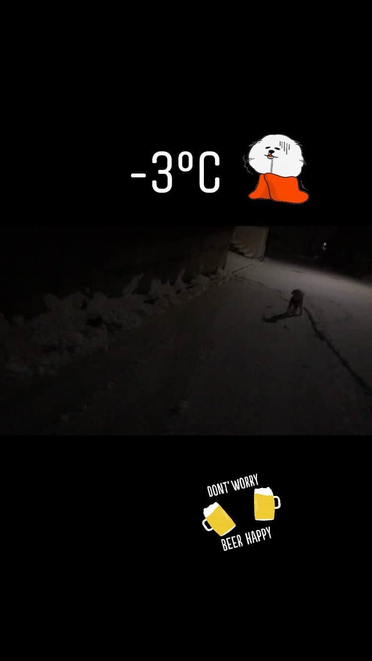 Izumi Kanno??のインスタグラム：「☮️ 明日朝早いので雪かきしました💦😱 * The cold never bothered me anyway! 🌬🐩 ＊ ＊ ＊」