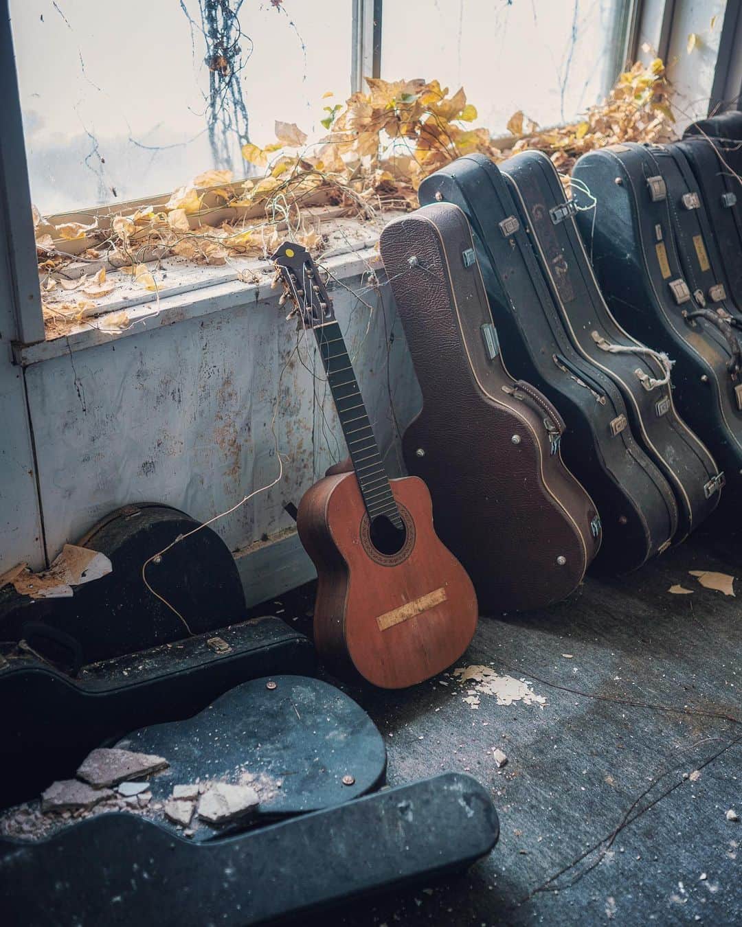 啝 （わ）のインスタグラム：「Guitars 𓆲 𓆲 𓆲 #abandonedafterdark #urbex_supreme #desertedplaces #abandon_seekers_ #urbex_regards #welcometwoneverland #kings_abandoned #abandonedcentral #the_urbex_institute #renegade_abandoned #rsa_preciousjunk #glitz_n_grime #gotrespassing #savethedecay #bandorebelz #abandoned_addiction #abandoned #urbex #global_urbex #urbex_utopia #abandonig #allabandoned #urbex_kings #sombrexplore #grime_lords #urbxtreme #all_is_abandoned #discarded_butnot_forgotten #廃墟 #made_in_decay」