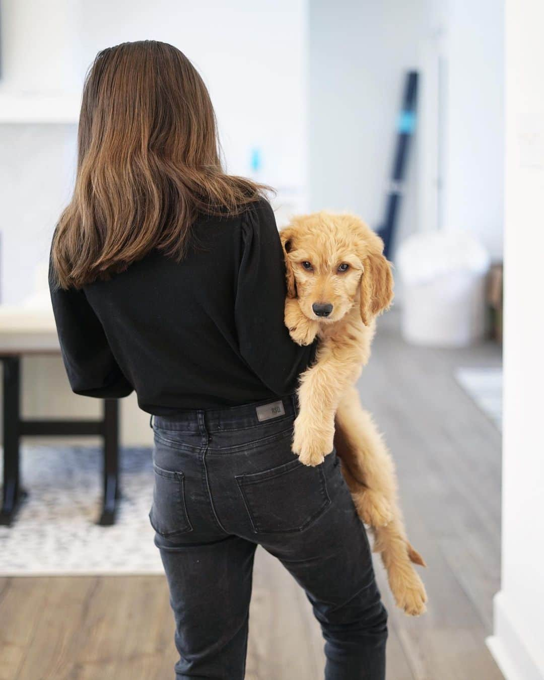 Angie Keiserのインスタグラム：「Haven’t posted much since the move, and this is why. We actually brought her home, five days BEFORE we moved. Needless to say, the move was even more of an adventure than originally planned 😂  Meet Ginger - a feisty ball of (nearly) 10 week old, pure puppy energy 🐶❤️」