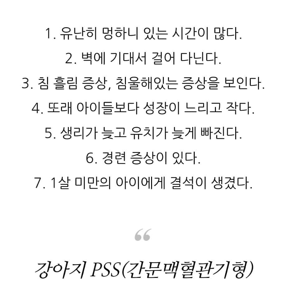 thesoy_yoonsoさんのインスタグラム写真 - (thesoy_yoonsoInstagram)「. 아 계속 참다 참다 너무 화가 나서...  . 퐁키는 얼마전 #강아지pss 진단을 받았어요 . 퐁키는 성장이 너무 느리고 작은 아이였어요 352일 되는날 첫 생리를 했고 1살이 넘어서까지 유치가 빠지지 않았어요 애기때 신장결석이 생겼고 방광 슬러지까지 있었죠 그리고 여러번 발작을 했었어요 . 유전적 질병이 많고 너무 약한 아이라고... . pss 7가지 증상중 4가지가 퐁키를 말하고 있는데 퐁키 애기때 주치의는 왜 pss에 대한 언급을 한마디도 안했던걸까 퐁키를 1~2년 봐주신게 아니었는데... . 동네 작은 병원도 아니었고 그 병원에 CT기계가 없던것도 아니었고 pss수술을 안하는 병원도 아니었는데... . 엑스레이상 후두골이형성이고 뇌쪽 문제 같다고 해서 MRI까지 찍고 신장질환이라며 5년동안 3개월에 한번씩 신장검사를 했었는데... . PSS는 1살 이전에 수술했으면 정상으로 살아갈수 있는 질병이라는데... . 방금도 비명을 지르며 깬 퐁키를 보며 pss라는걸 몰랐던 나에게 화가나고 이것저것 너무 화가 나서 손발이 부들부들 . . . 이사를 오며 병원을 옮겼어요 언제 MRI를 찍어야할지 모른다는 생각에 이쪽에서 제일 큰 병원을 찾았고 담당 선생님이 신뢰가 가지 않아 몇개월 전부터 다른 선생님께 진료를 보고 다니고 있었는데 이번에는 감기가 한달넘게 낫질않고 심장병 오진 . 그래서 또 병원을 옮겼어요 . . . 감기로 시작해서 600만원 넘게 쓰고 다녔는데 돌고 돌아 이제라도 퐁키가 아팠던 원인을 찾아서 다행이다 싶어요 . 동물병원은 크고 장비가 좋고 의사가 많은게 좋은게 아니고 명의를 찾아서 여러군데 다녀야한다는걸 뼈저리게 느끼는 요즘 뇌 치과 안과 심장 신장은 꼭 전문의에게... . 6살에 PSS 수술 성공사례가 많나요? 예후가 나쁘진 않나요? 암모니아 검사가 화요일인데 불안해서 견딜수가 없어요ㅠㅠ . 방금 퐁키 주치의 쌤이랑 통화하고 좀 진정이 됐는데 당시 주치의에 대한 원망과 자책에 미칠지경이에요 .」1月30日 0時55分 - thesoy_yoonso