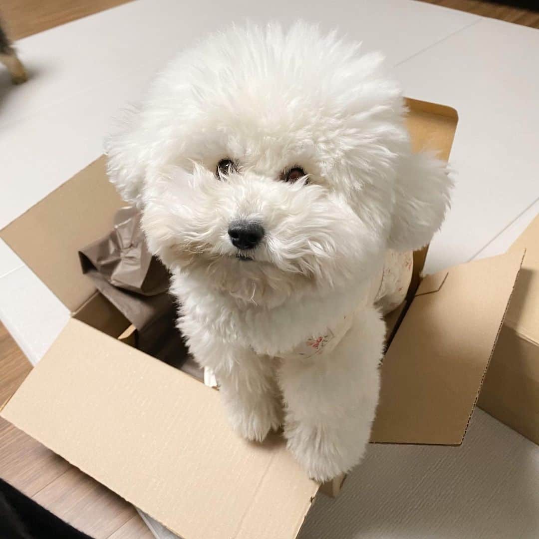 Paloaltoさんのインスタグラム写真 - (PaloaltoInstagram)「더이상 나는 실망하기 싫은걸~」1月30日 1時25分 - paloaltongue