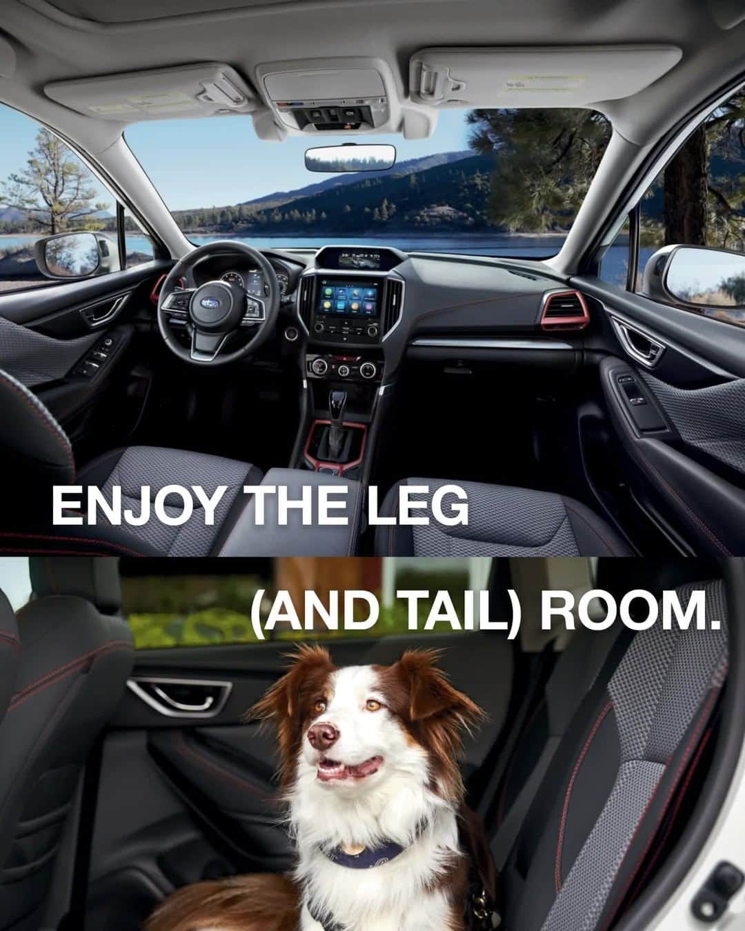 Subaru of Americaのインスタグラム