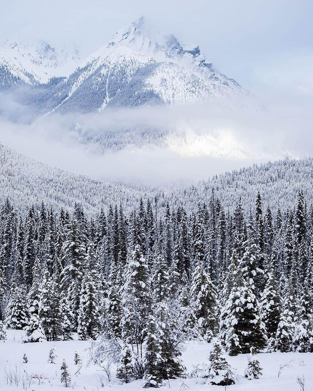 Explore Canadaのインスタグラム