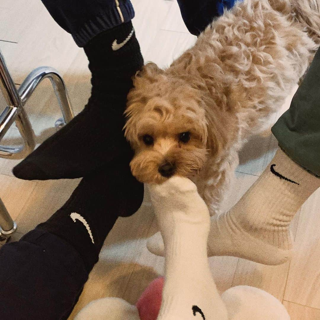 スアさんのインスタグラム写真 - (スアInstagram)「진짜 가족 모임 ㅋㅋㅋ 🤍 형부랑은 첫 가족 사진 ..(?) 기념샷 ! 박제 ! 그리고 오늘의 신기함은 우연히 맞아 떨어진 나이키 양말 ! 마지막은 외국미남 같이 나온 사랑스러운 테디까지 ! 주저리 주저리 끝 - 🍓🤍」1月30日 2時28分 - midoricoo