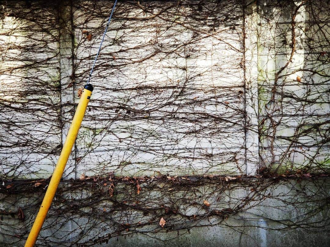 ANI さんのインスタグラム写真 - (ANI Instagram)「散歩の途中で見かけた抽象画みたいな壁。」1月30日 13時21分 - sdp_ani