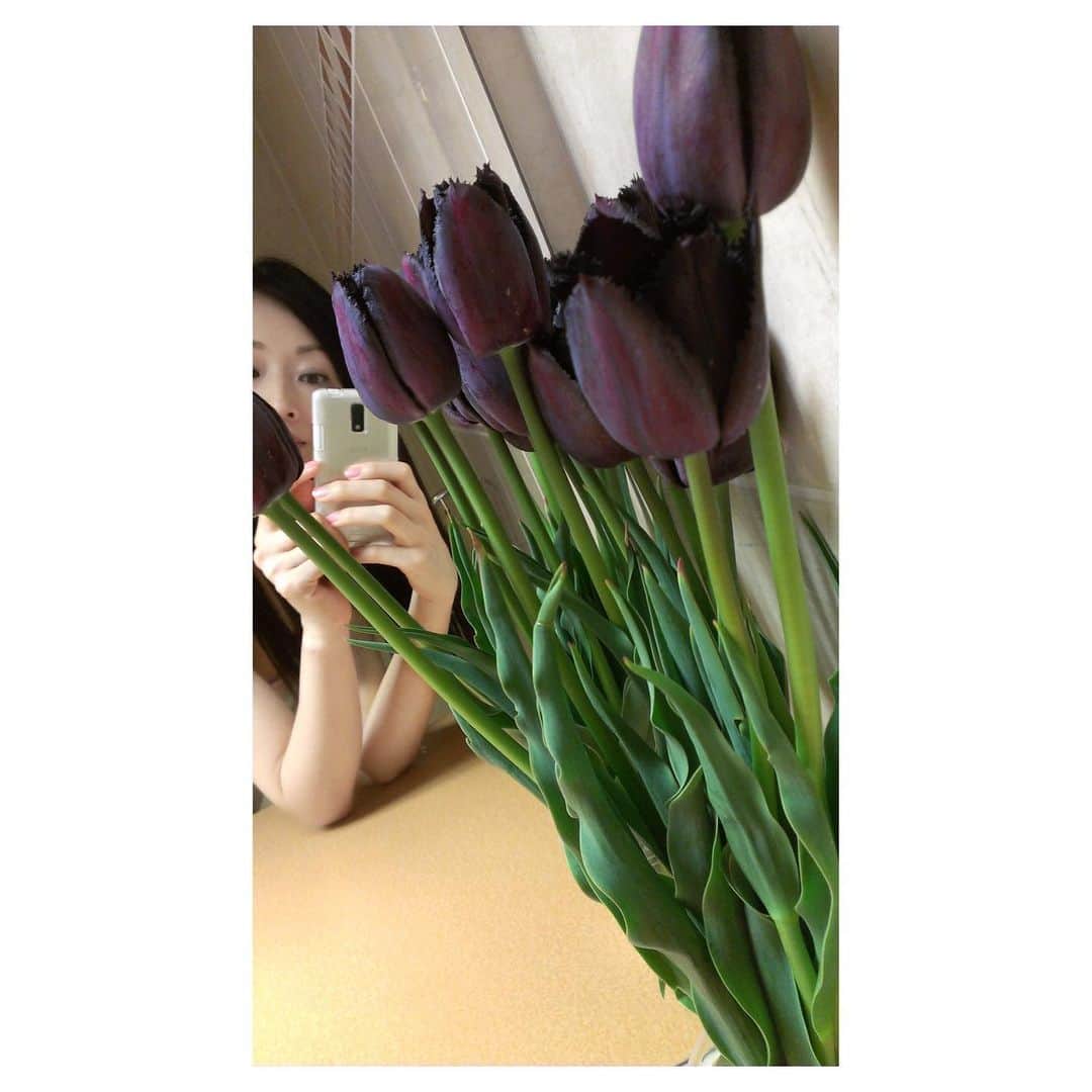 理絵さんのインスタグラム写真 - (理絵Instagram)「🌷🌷🌷🌷🌷🌷🌷  #オランダ #nederland #holland #ネーデルラント #チューリップ #tulips #튤립 #tulipani #flowers #fiore #꽃 #花 #チューリップ畑 #花畑 #過去pic #懐かしい #思い出 #元宝塚 #宝塚og」1月30日 13時22分 - ____rie____