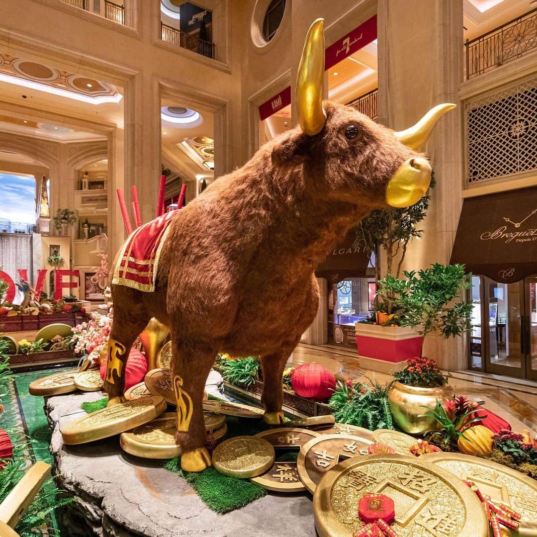 The Venetian Las Vegasさんのインスタグラム写真 - (The Venetian Las VegasInstagram)「Our decor is set and we are counting down the days until The Year of the Ox! Visit venetian.com to see all the ways you can celebrate Chinese New Year with us. #ChineseNewYear #YearOfTheOx」1月30日 4時56分 - venetianvegas