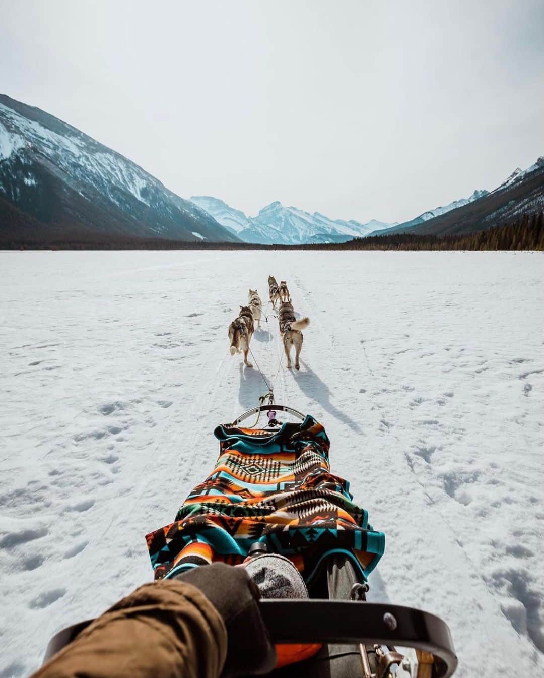 FOLKのインスタグラム：「On my way to the weekend. Happy Friday favorites: 1.) @jayrmcdonald 2.) @roaminglost 3.) @bennybystrom 4.) @daniellejeagleson 5.) @alexandr_ford 6.) @harry.t.baker 7.) @monascherie」