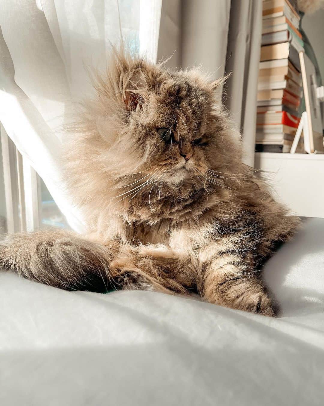 のインスタグラム：「Friday mood ... and hair for that matter」