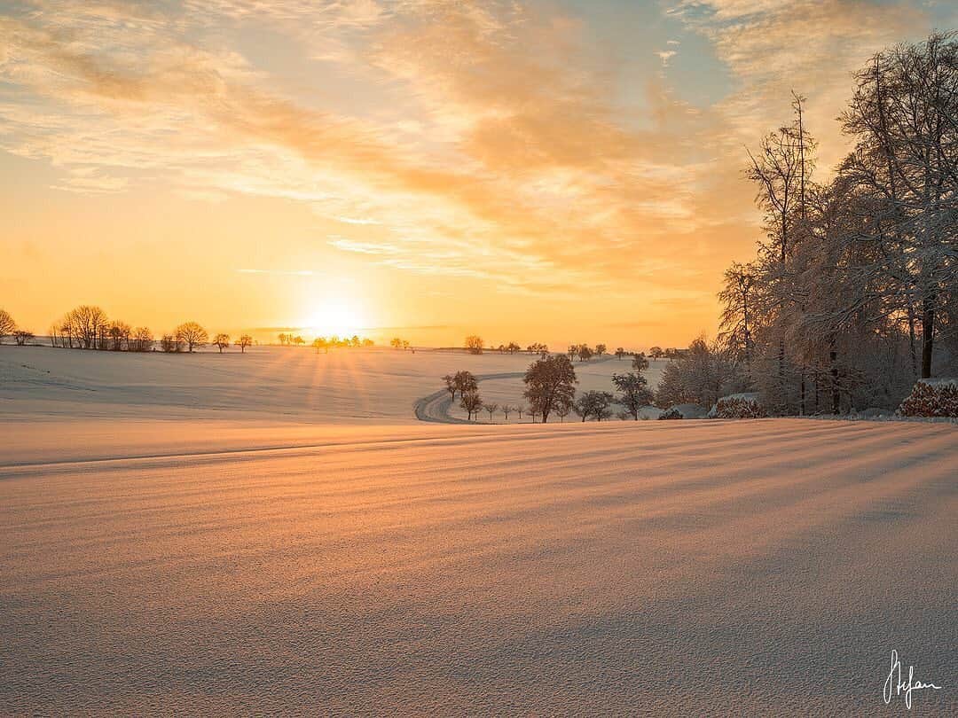 Ricoh Imagingのインスタグラム：「Posted @withregram • @stefanspeth golden winter. 🟠⚪️🟡  one last shot of the fabulous winter we had this year. 🤙🏼 fresh’n untouched snow plus a golden sunrise are the best ingredients for a perfect start into the day for me. ❄️☀️  Have a beautiful weekend, folks. 😎🤙🏼  🎩-tip 2 my dear friend @karinstraum for handpicking the last 2 shots of my gallery. 😊🙏🏼  . . .  #odenwald #odenwaldliebe #odenwaldfotografie #heimatliebe #visitbawu #landscape #bawue_vision #bwjetzt #sunrise #colourfulskies #sonnenaufgang  #blendenstern #starburst #marvelouz_world #instawinter #instasnow #wintertime #winterwonderland #winteriscoming #wintervibes #landschaftsfotografie #landscapephotography #stefanspeth #shootpentax #alwayswithyou #645z #ricohpentax #pentaxphotography #teampentax #teamricohimaging」