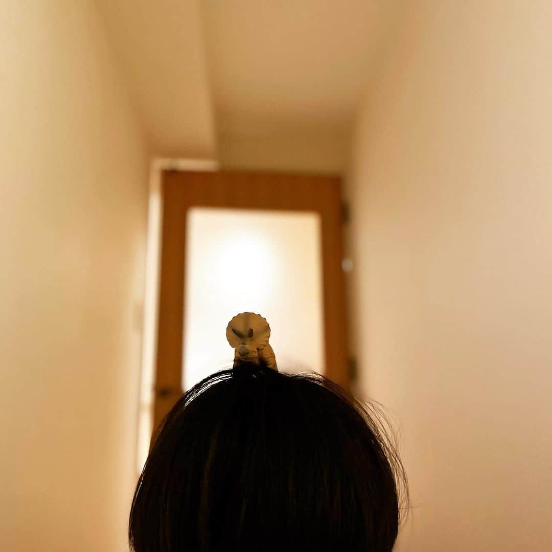 つじあやののインスタグラム