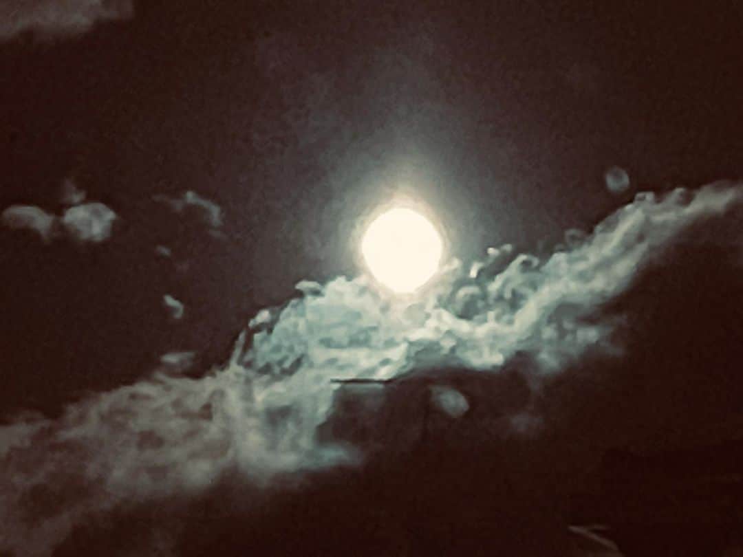 河瀬直美さんのインスタグラム写真 - (河瀬直美Instagram)「まだ、アメリカは満月かな🌕 昨夜のお月様がまもなく夜空に現れて…  全米での『朝が来る』公開が始まりました🎬  少しでも多くの、この困難の中にある人々に届けたい映画です。  https://www.filmmovement.com/true-mothers  I wonder if it’s still a full moon in America 🌕 Last night’s moon will soon be appearing in their night sky...  True Mothers has been released all across America 🎬  I hope we can deliver this film to even just a few more people who might be facing these difficulties.  https://www.filmmovement.com/true-mothers  #朝が来る #映画の力 #全米公開 #truemothers  #thepoweroffilm  #usrelease」1月30日 7時43分 - naomi.kawase