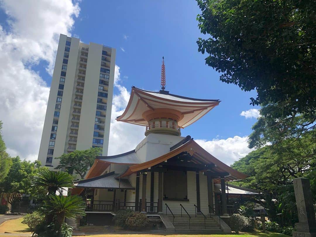 Honolulu Myohoji Missionさんのインスタグラム写真 - (Honolulu Myohoji MissionInstagram)「🙏🏼  Happy aloha Friday everyone!  Shodai meditation class is for Japanese and English speakers and it’s held on every Saturdays at 10:00am - 11:00am.  Those who wish to attend, please send an email at info@honolulumyohoji.org  Let us know if you would like to join for next week!  ————————- 📺  Honolulu Myohoji YouTube channel is available now!  On our YouTube channel, you can see - Rev. Yamamura’s talk, - Past events of Honolulu Myohoji, and - Some nice Hawaii weather from Honolulu Myohoji.  🪄 Dr. Yukari’s listening lounge is here for you!  - Stories are twice a week on our blog, Facebook and Instagram. ————————- * * * * #ハワイ #ハワイ好きな人と繋がりたい  #ハワイだいすき #ハワイ好き #ハワイに恋して #ハワイ大好き #ハワイ生活 #ハワイ行きたい #ハワイ暮らし #オアフ島 #ホノルル妙法寺 #思い出　#honolulumyohoji #honolulumyohojimission #御朱印女子 #開運 #穴場 #パワースポット #hawaii #hawaiilife #hawaiian #luckywelivehawaii #hawaiiliving #hawaiistyle #hawaiivacation」1月30日 13時45分 - honolulumyohoji
