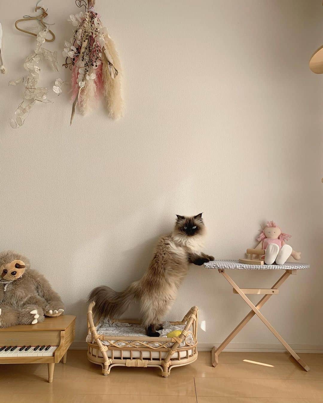 plumeのインスタグラム