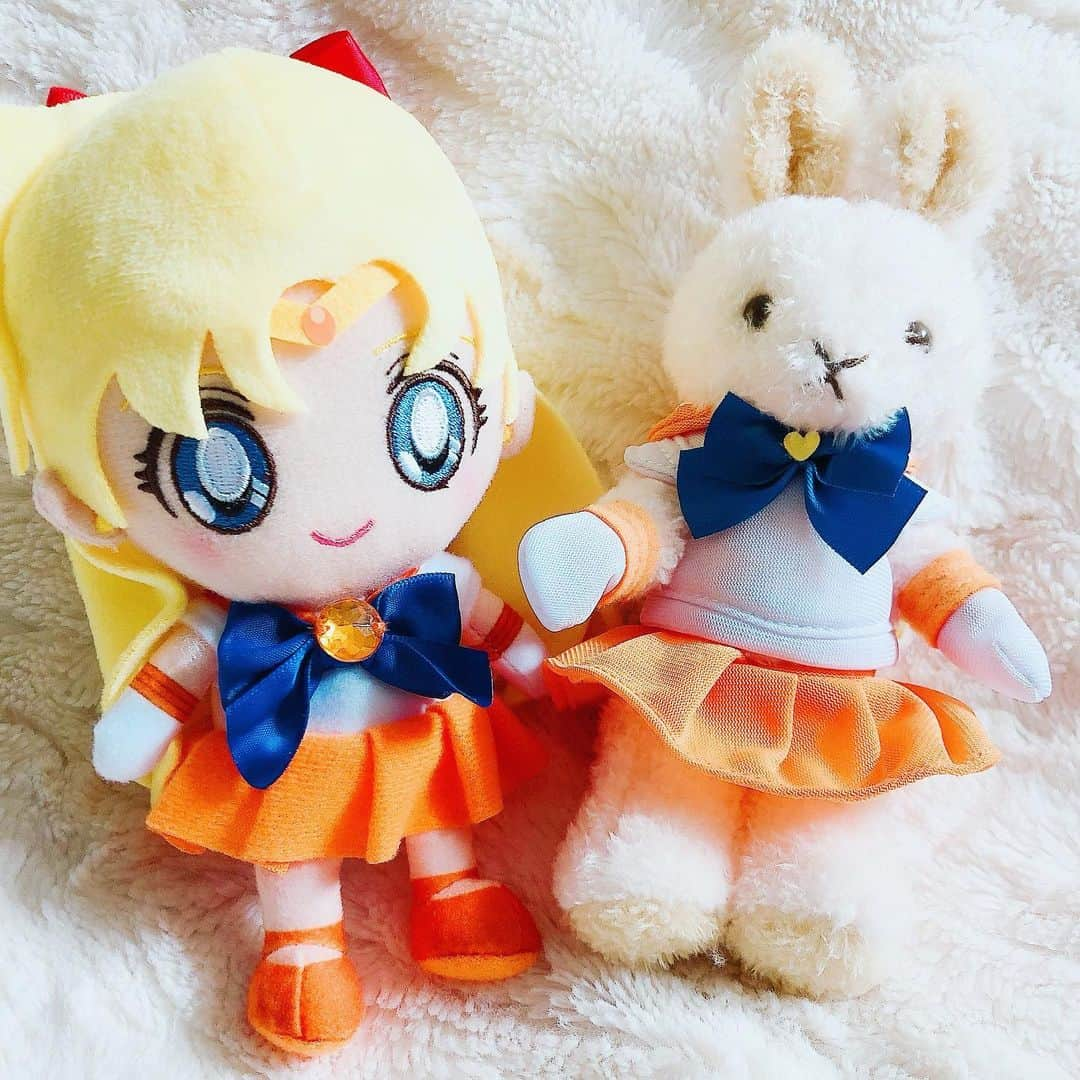 Sailor Moonさんのインスタグラム写真 - (Sailor MoonInstagram)「✨🌙 I had to get the Sailor Venus Kumamate outfit too cause it’s so freaking cute! 🌙✨  #sailormoon #sailorvenus #セーラームーン」1月30日 8時35分 - sailormoon_sc