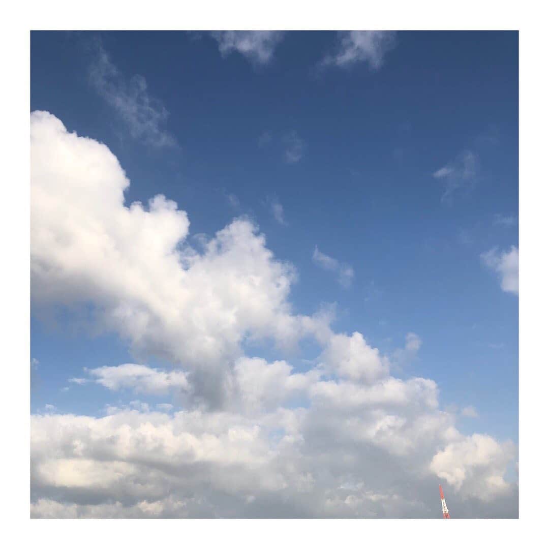 濱田マサルさんのインスタグラム写真 - (濱田マサルInstagram)「青い空に癒される  福岡快晴🕊❣️✨」1月30日 8時57分 - hamadamasaru