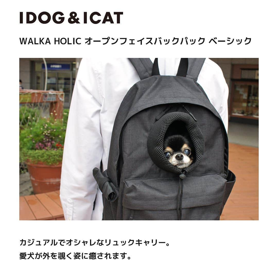 iDog&iCatのインスタグラム