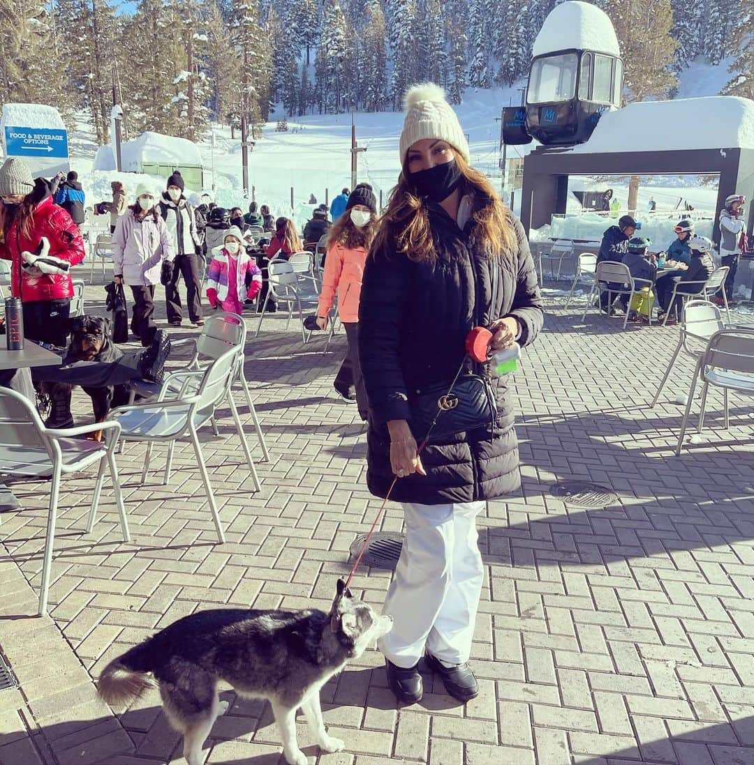 ヘザー・マクドナルドさんのインスタグラム写真 - (ヘザー・マクドナルドInstagram)「Raven, our adopted Alaskan Klee Kai got a lot of attention in #mammothmountain but then within minutes she was shivering like a girl who was born and raised in #woodlandhills #california Peter picked her up and put her in his jacket until we could get inside next to a fire. Her #23andme me might be Alaskan but her heart is The Valley.」1月30日 10時12分 - heathermcdonald