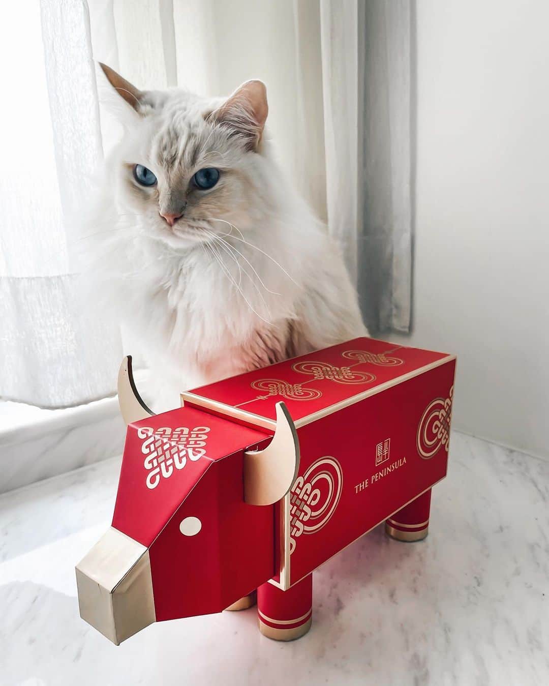 Ruby Kwanのインスタグラム：「Don’t bring a cow 🐮 home, unless it is to celebrate #TheYearOfTheOx. And make sure it is from @thepeninsulaboutique. Otherwise, your cats get confused. 😸✨ #ThePeninsulaBoutique #rougeclosetlifestyle   My #LunaAndQoony are acting as if they are confused. What do you think? Who can get the Oscar? By the way, ✖️DO NOT swipe till the end. 🙈❤️😹」