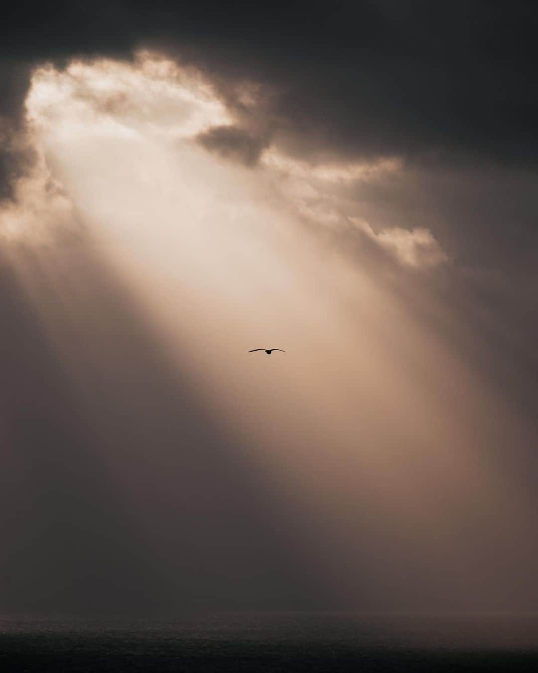 Putri Anindyaのインスタグラム：「Good morning!  Just remember to breath and be proud of yourself for holding on in this uncertainty. One thing that certain, the sun will rise again tomorrow and so will you.   You can share this photo to the people that you care about so it’ll become a reminder that they are not alone ☀️  Selamat Pagi!  Jangan lupa menarik nafas dan bangga dengan diri kamu karena bisa bertahan dalam ketidakpastian ini. Satu hal yang pasti, matahari akan terbit lagi esok hari dan juga kamu.  Kamu bisa bagikan foto ini buat orang-orang yang kamu peduli dan sayangi untuk jadi pengingat kalau mereka tidak sendiri ☀️」
