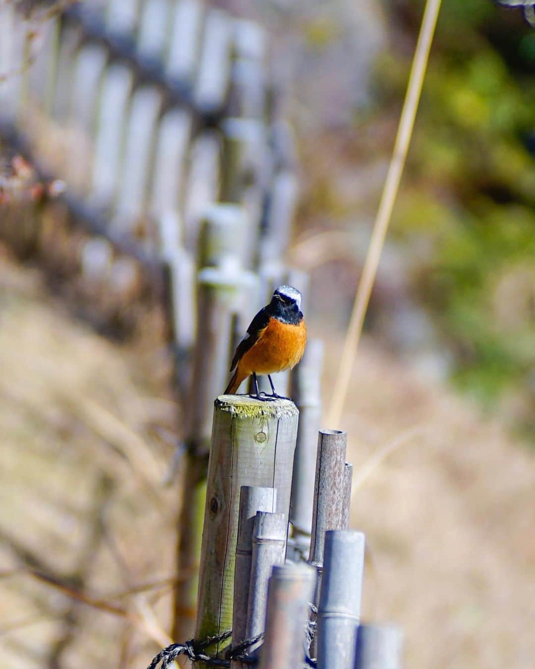 иαяα & куσтσ νιятυαℓ ωσяѕhιρのインスタグラム