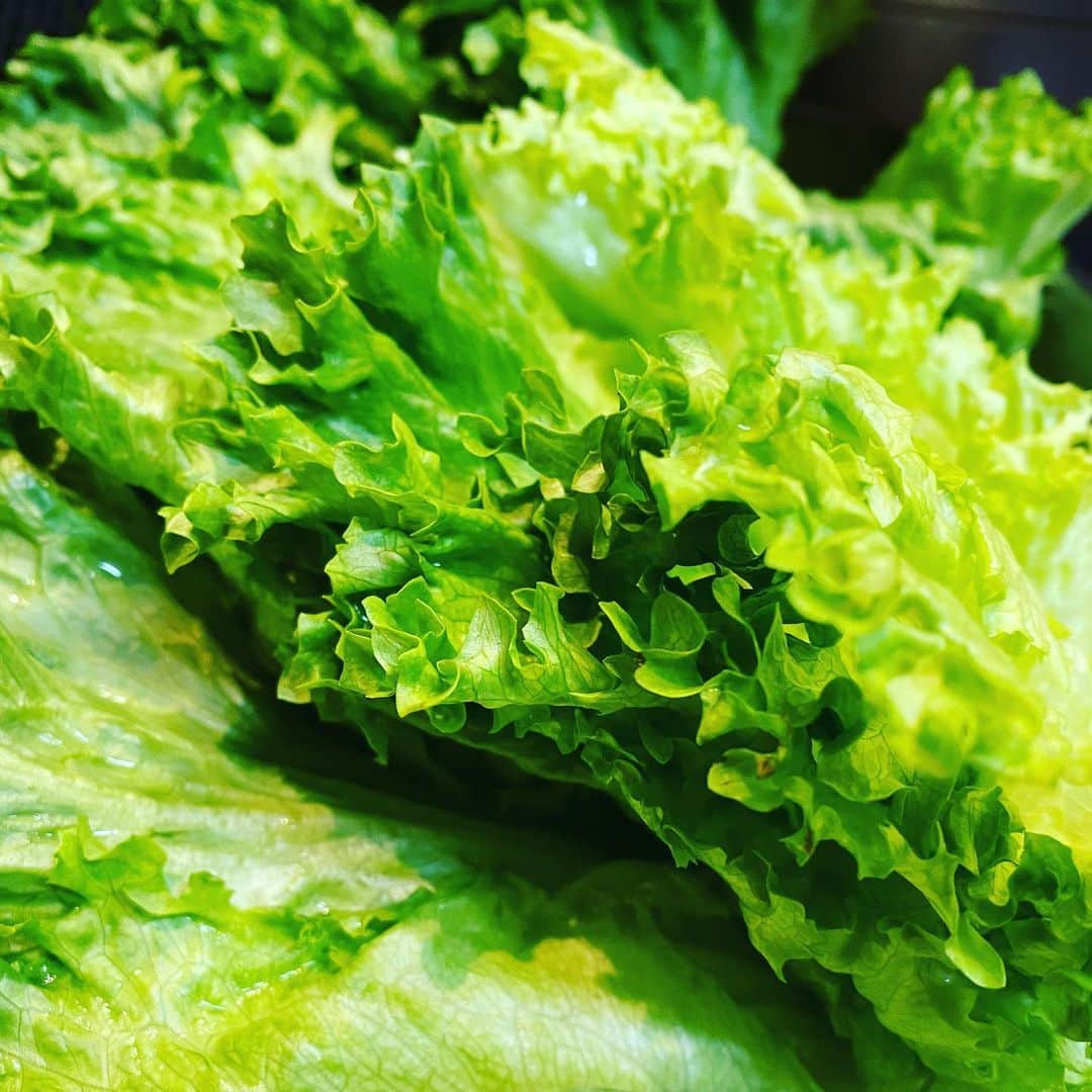 umamiburgerjpnのグルメインスタ