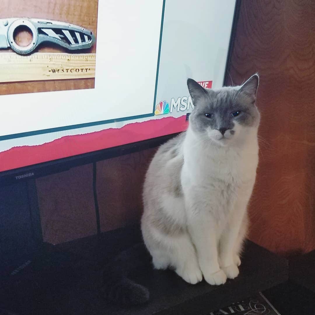 Garyのインスタグラム：「We have heat, we have light, and all Margo wants to do is listen to the sweet sounds of white supremacists being remanded to custody #margoed」