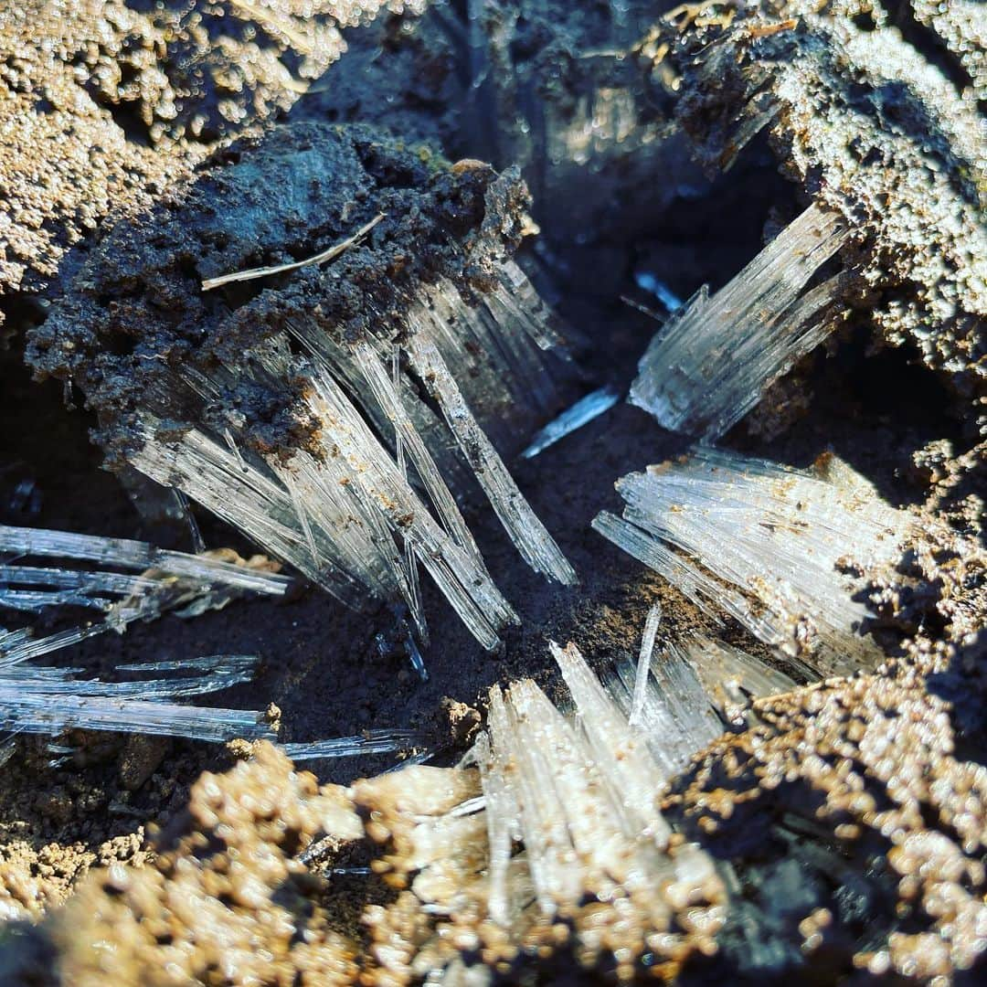 氷浦紫のインスタグラム